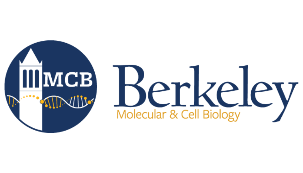 6 MCB logo